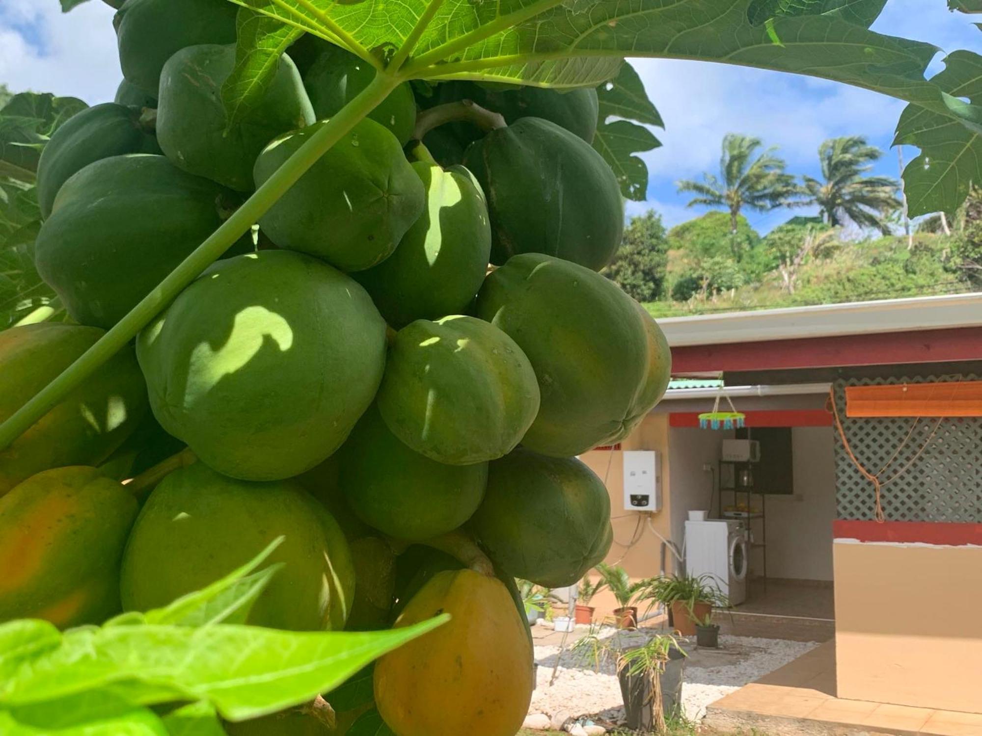 Hotel Lemon House Maroe Exterior foto